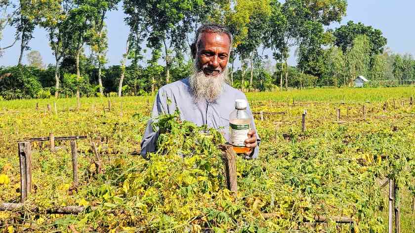 পঞ্চগড়ে বালাইনাশকের মিশ্র প্রতিক্রিয়া, কৃষকের তিন বিঘা করলা নষ্টের অভিযোগ